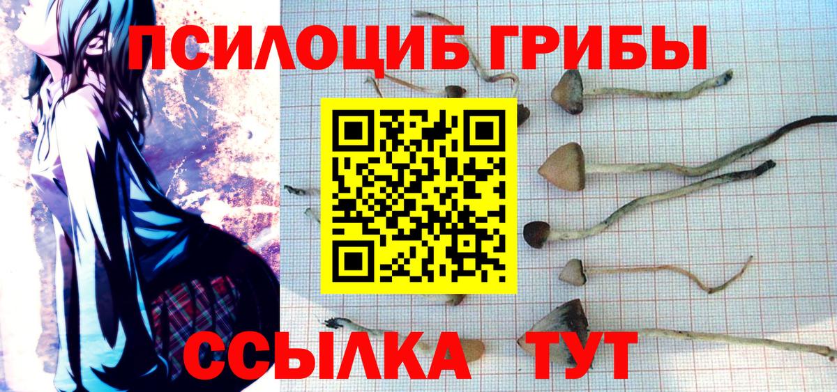 Галлюциногенные грибы прущие грибы Обь