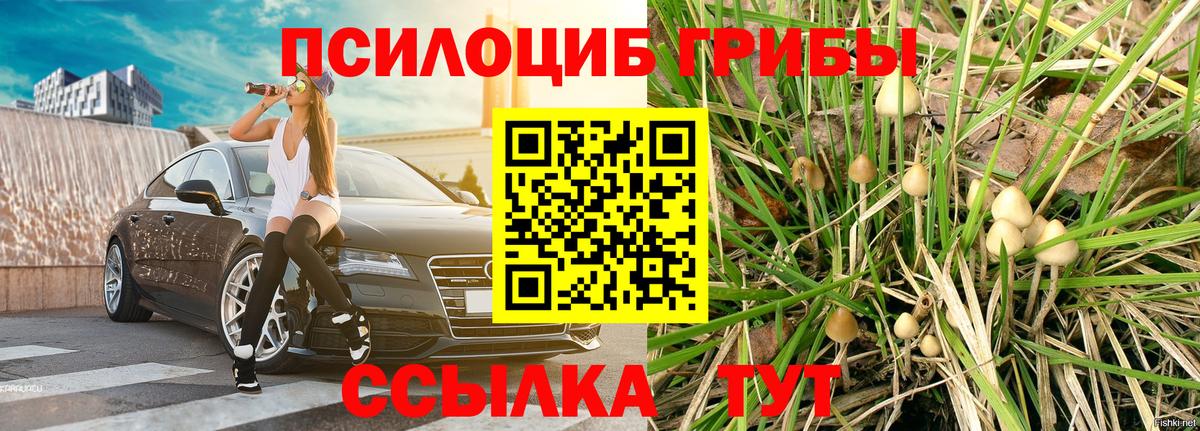 Галлюциногенные грибы MAGIC MUSHROOMS  как найти закладки  Обь  Вход с VPN 